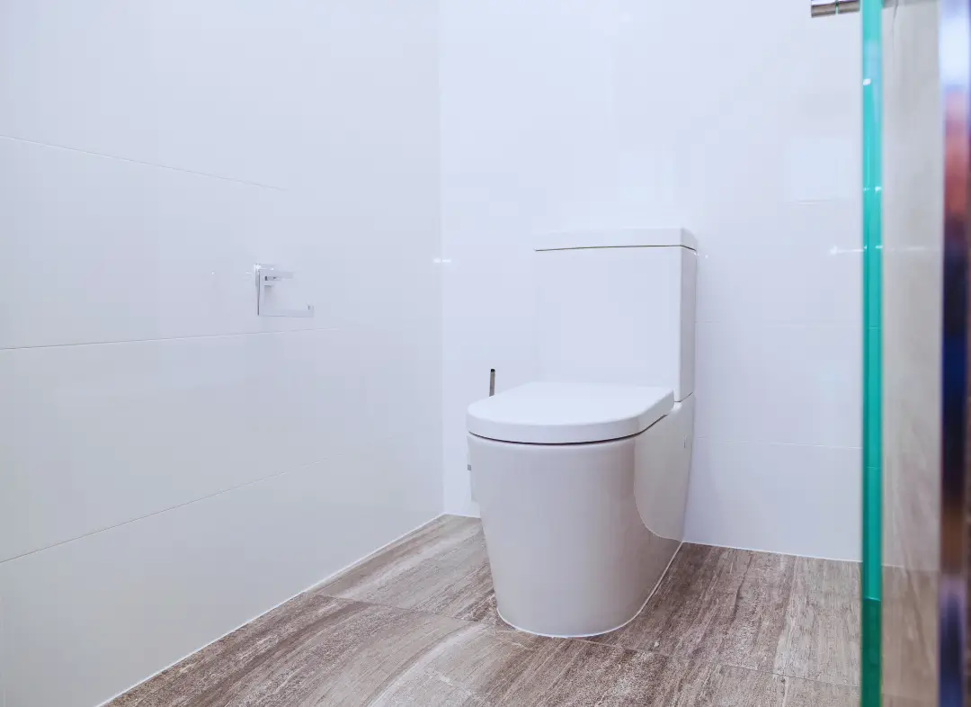 Remplacement de wc Mondelange