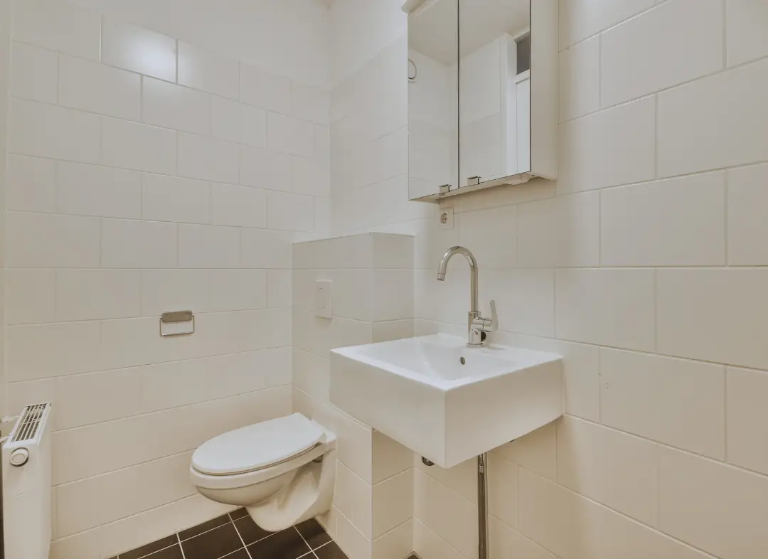 Pose WC Suspendu Mondelange